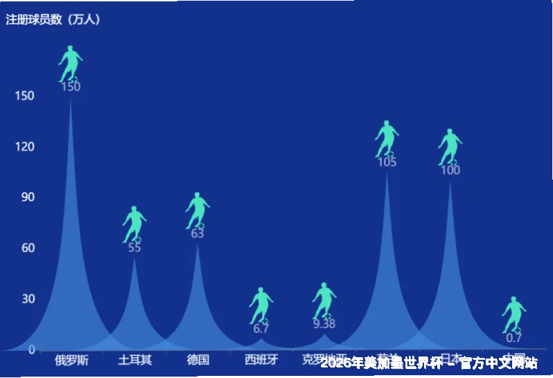 使用方法与注意事项